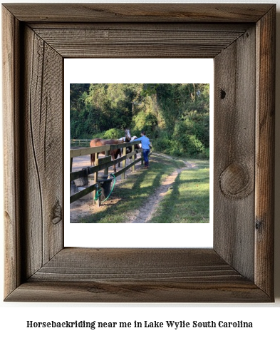 horseback riding near me in Lake Wylie, South Carolina